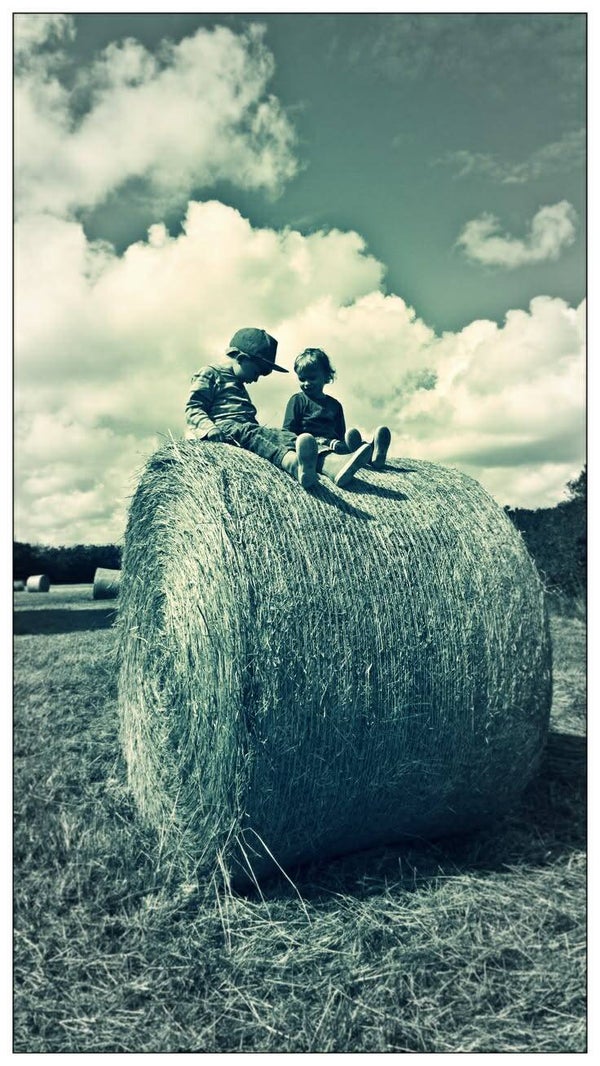 DP Agriculteur 10