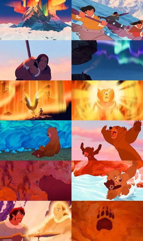 DP Frère des ours 11