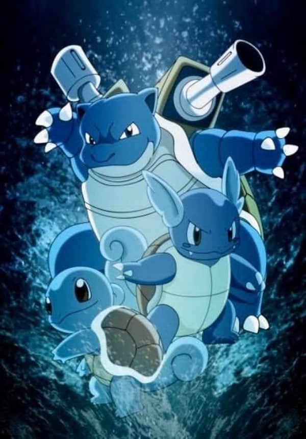 DP Pokémon 24