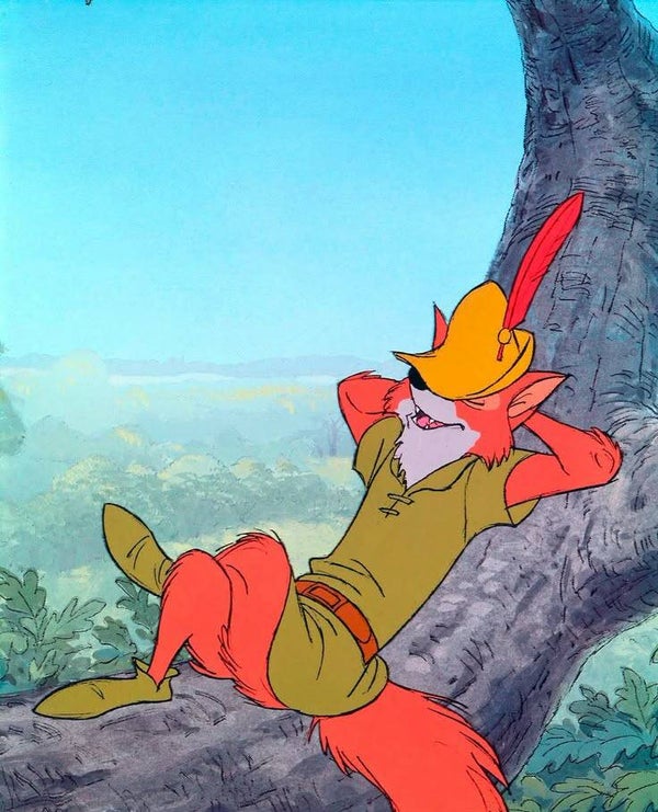 DP Robin des bois 17