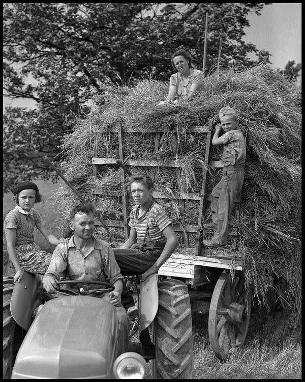 DP Agriculteur 02