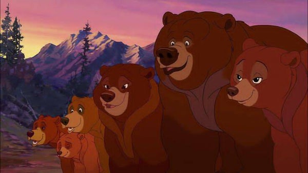 DP Frère des ours 01