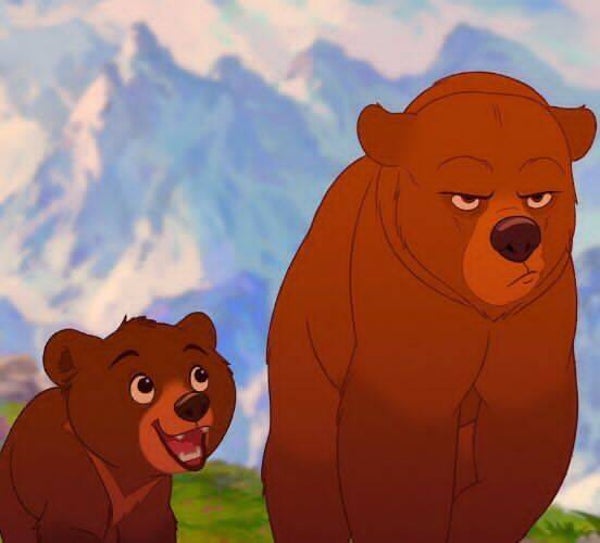 DP Frère des ours 04