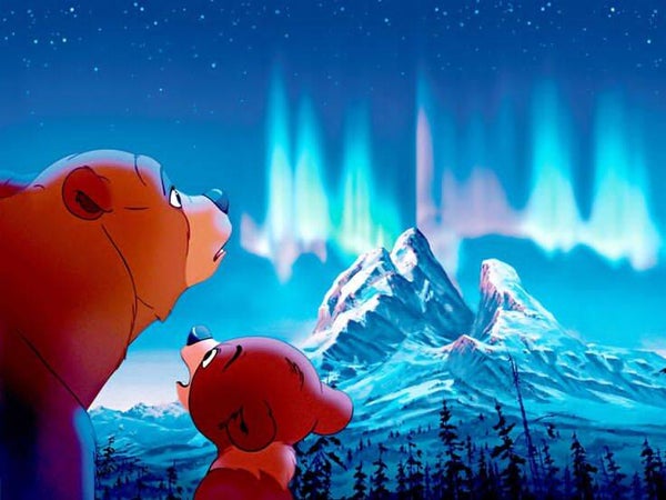 DP Frère des ours 06