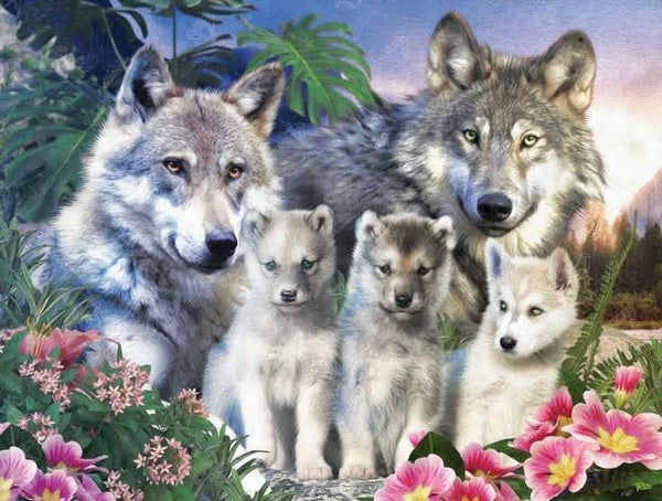 DP Loup 15