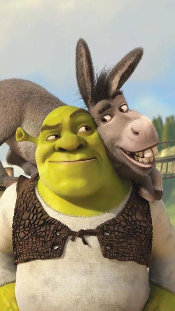 DP Sherk 03