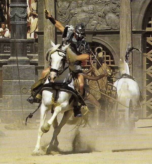 DP Gladiator 06