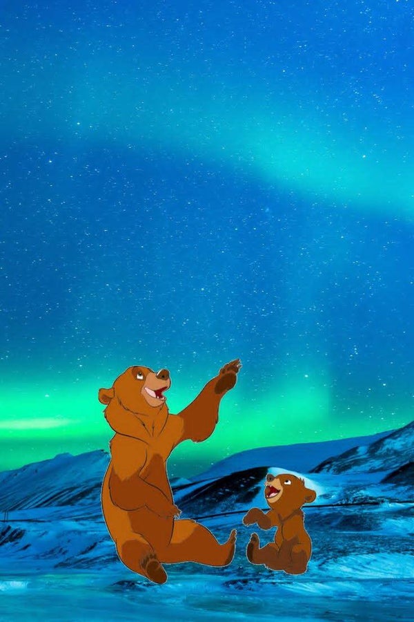 DP Frère des ours 13