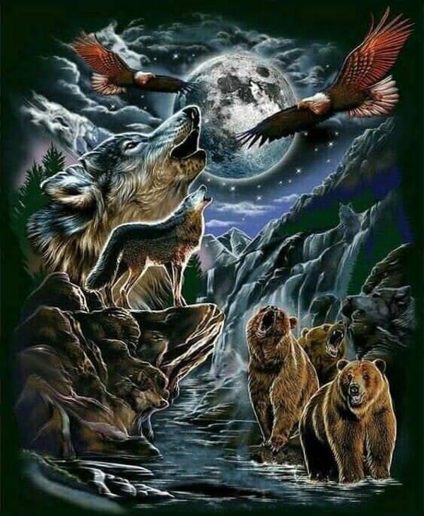 DP Loup 17