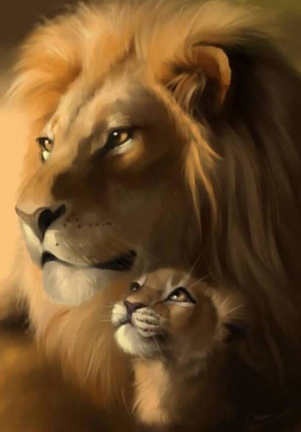 DP Lion 20