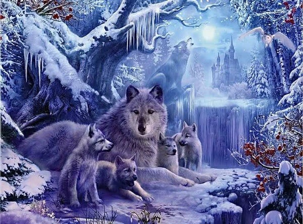 DP Loup 14