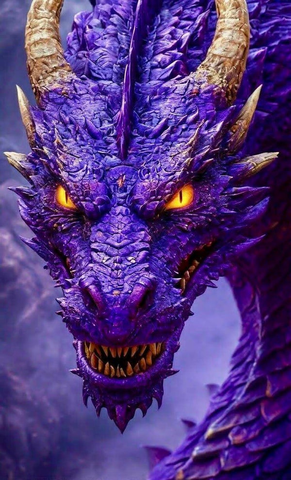 DP Dragon 04