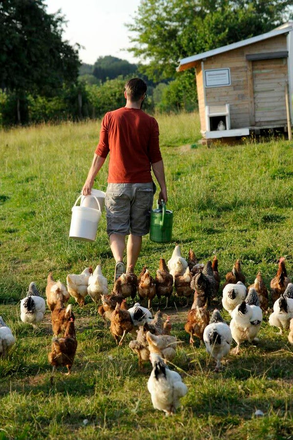 DP Agriculteur 08