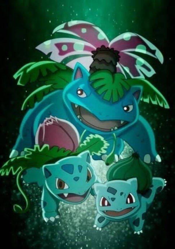 DP Pokémon 25