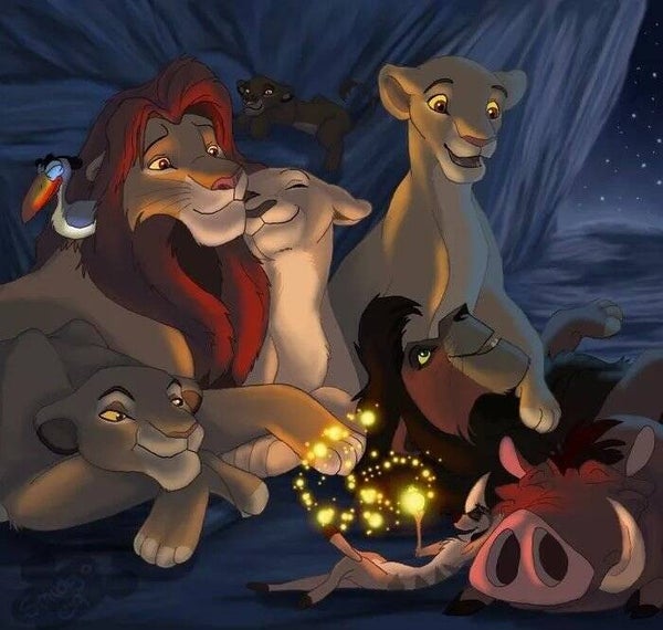 DP Roi Lion 19