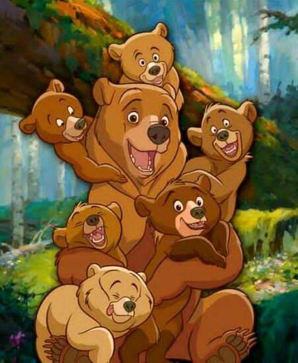 DP Frère des ours 25