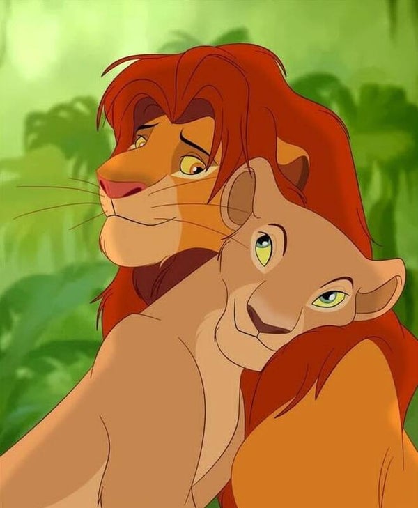 DP Roi Lion 21
