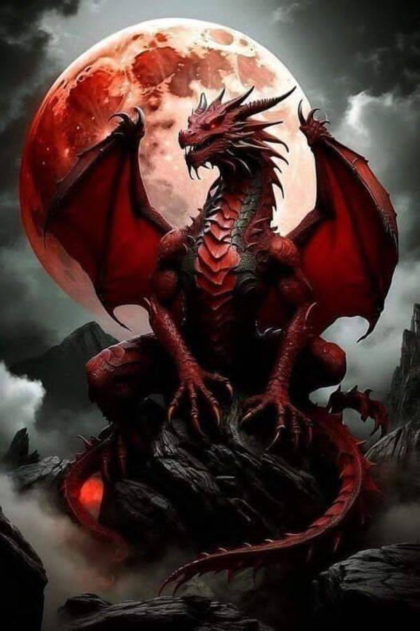 DP Dragon 11