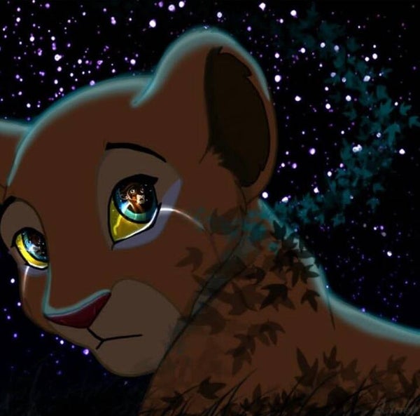 DP Roi Lion 17