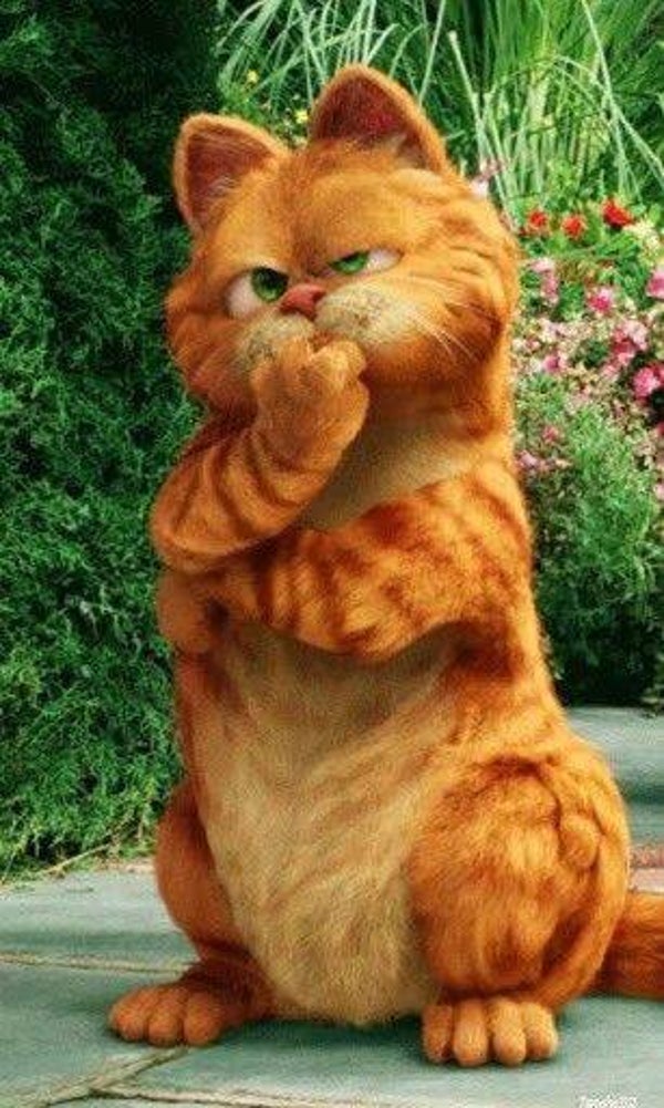 DP Garfield 07