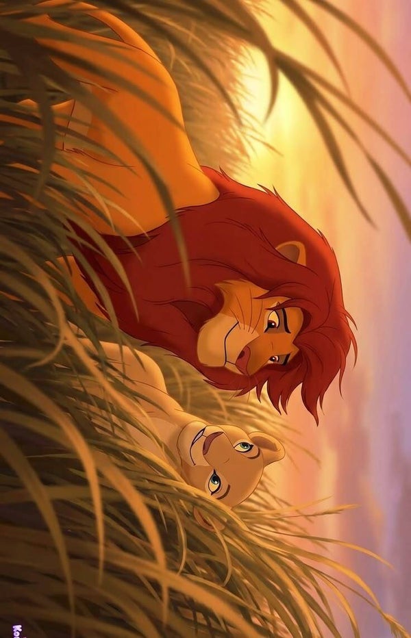 DP Roi Lion 24
