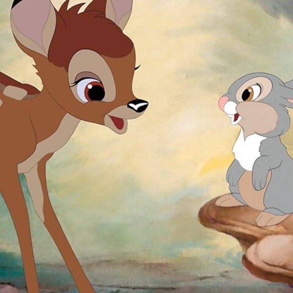 DP Bambi 12