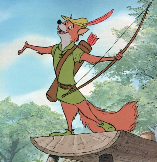 DP Robin des bois 19