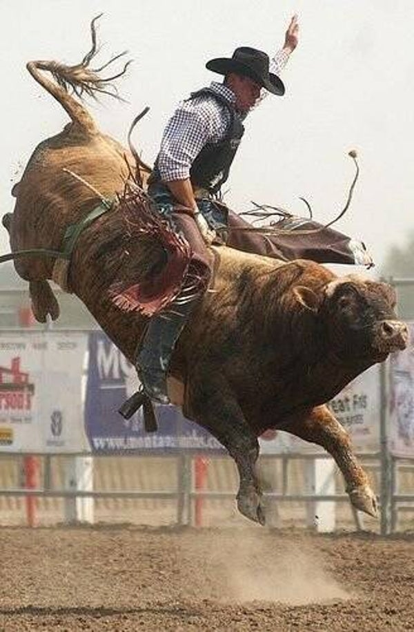DP Rodeo 16