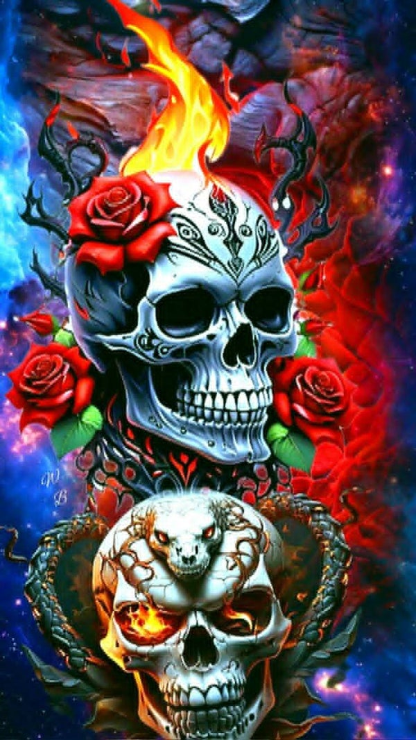 DP Tête de mort  29