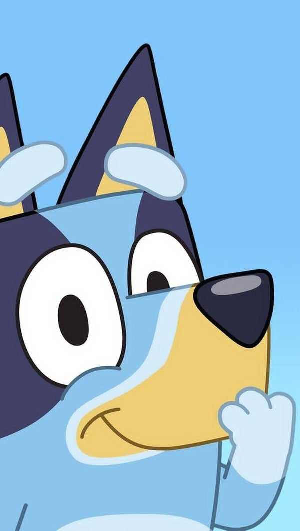 DP Bluey 07