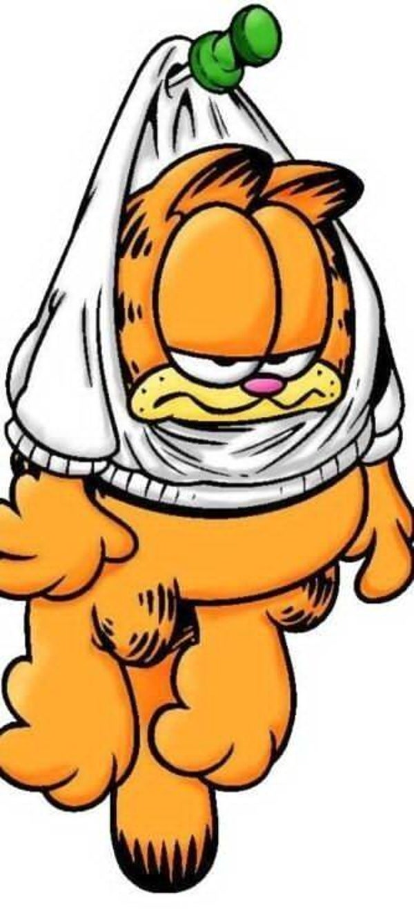DP Garfield 02