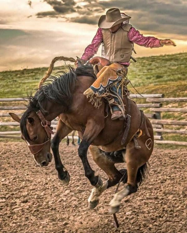 DP Rodeo 17