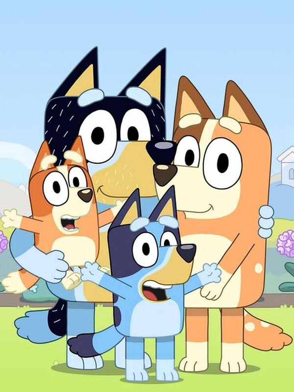 DP Bluey 08