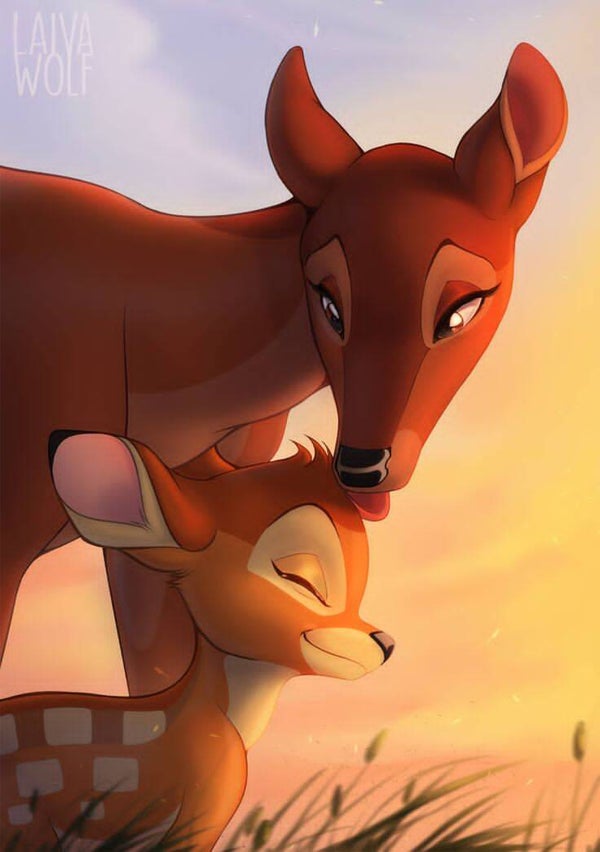 DP Bambi 13