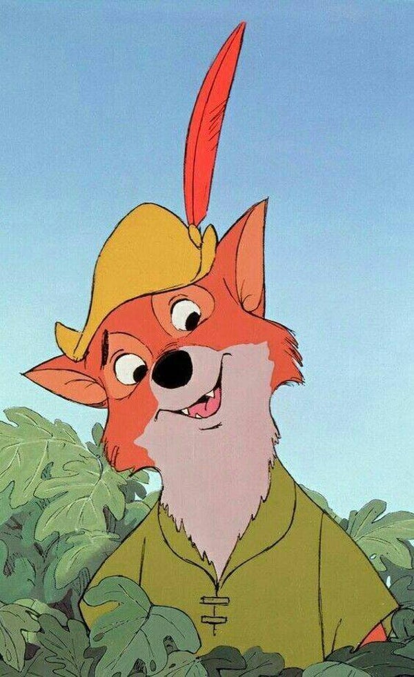 DP Robin des bois 13