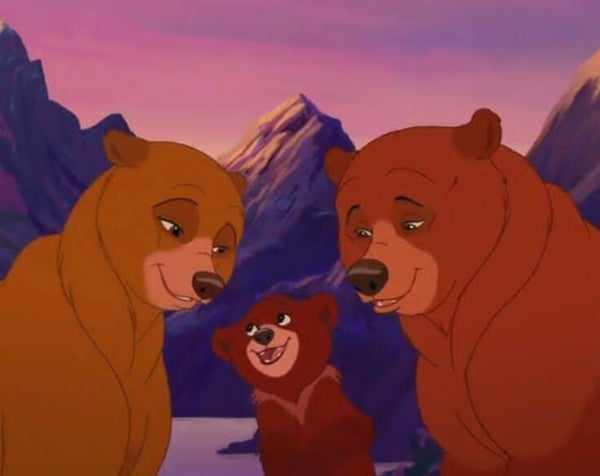 DP Frère des ours 21