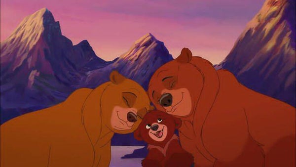DP Frère des ours 22
