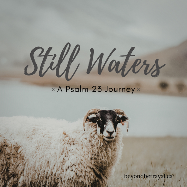 Still Waters: A Psalm 23 Journey