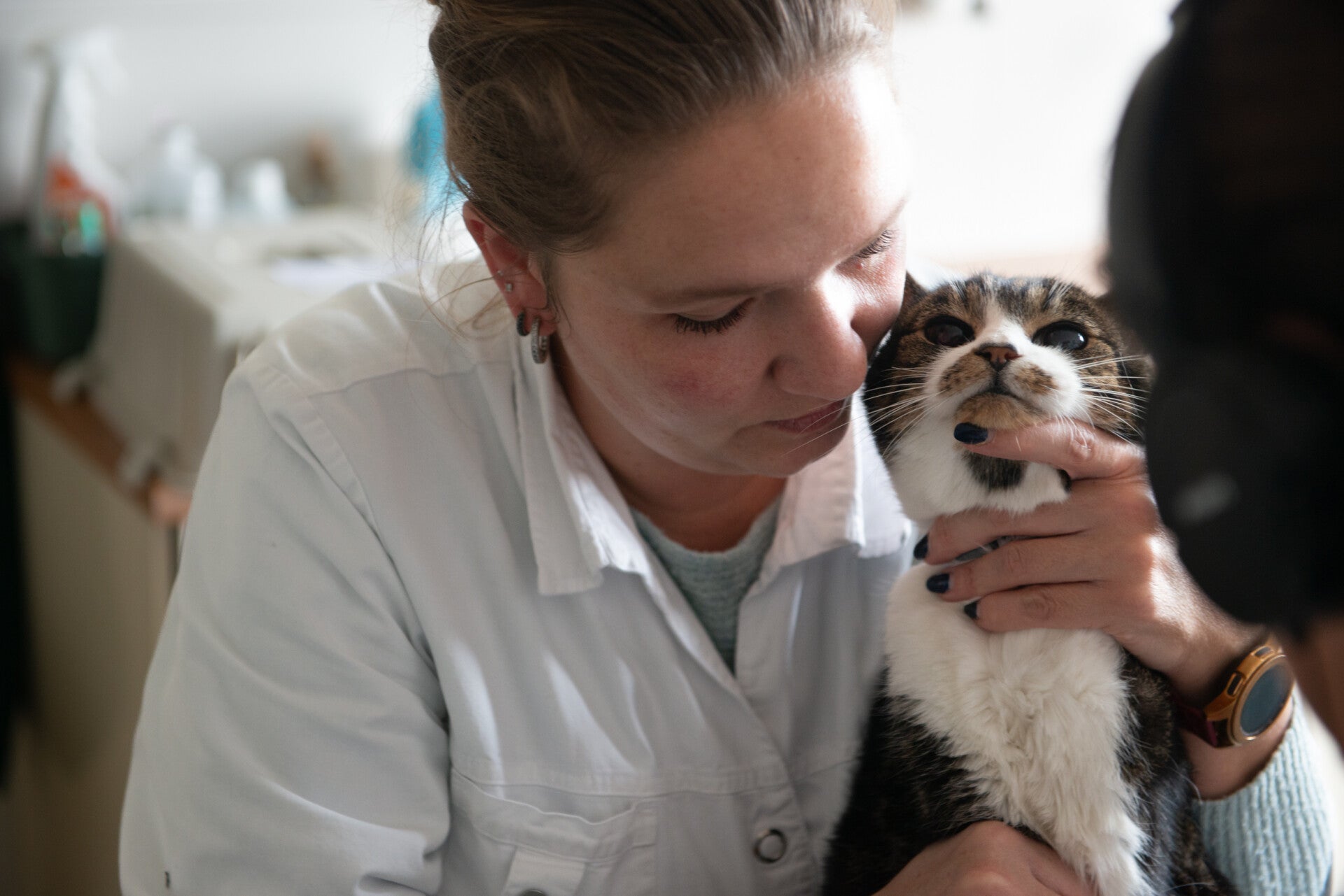 Tamara Brinkert met een kat patient