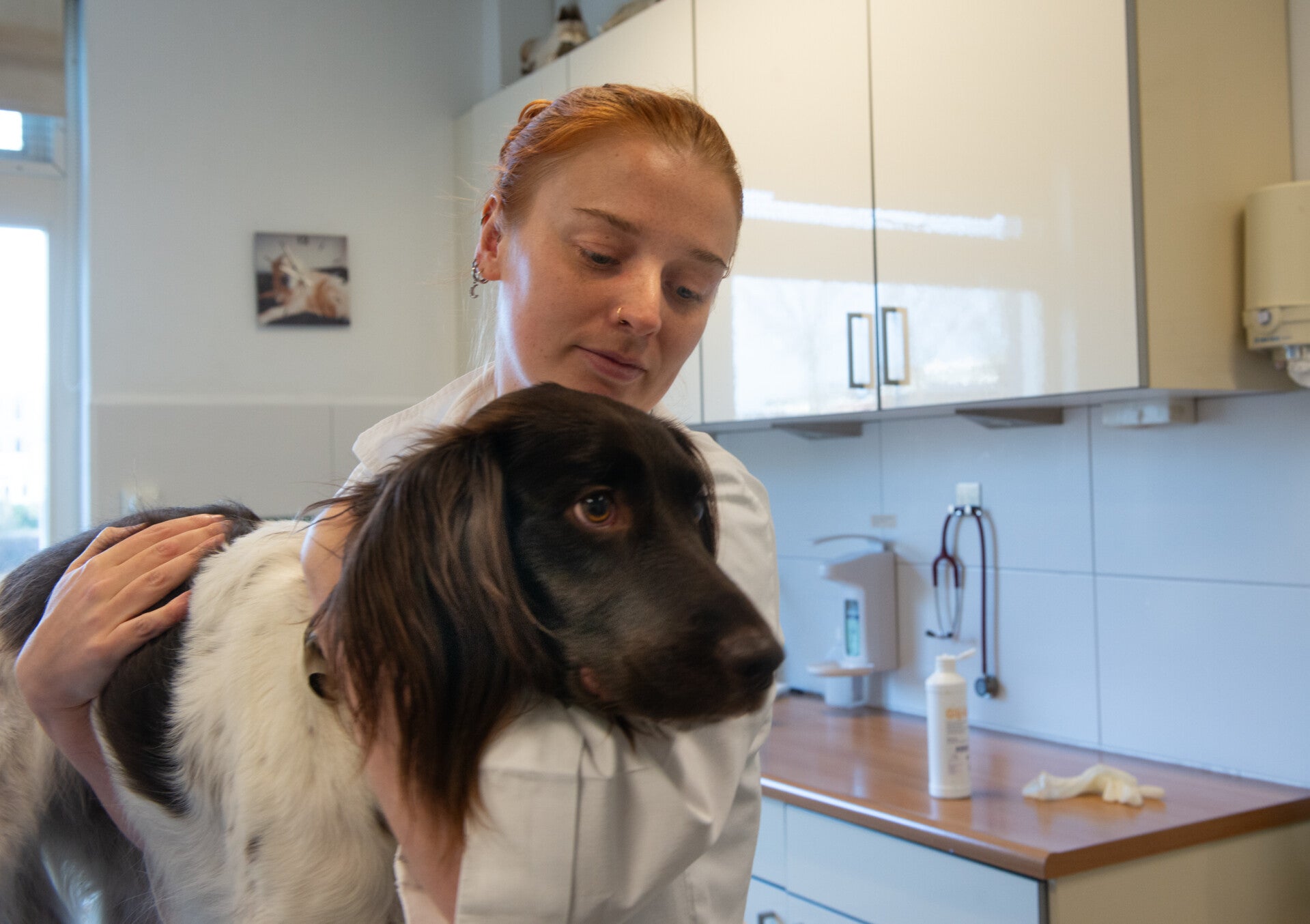 Alyssa Burger in de praktijk met een hond patient