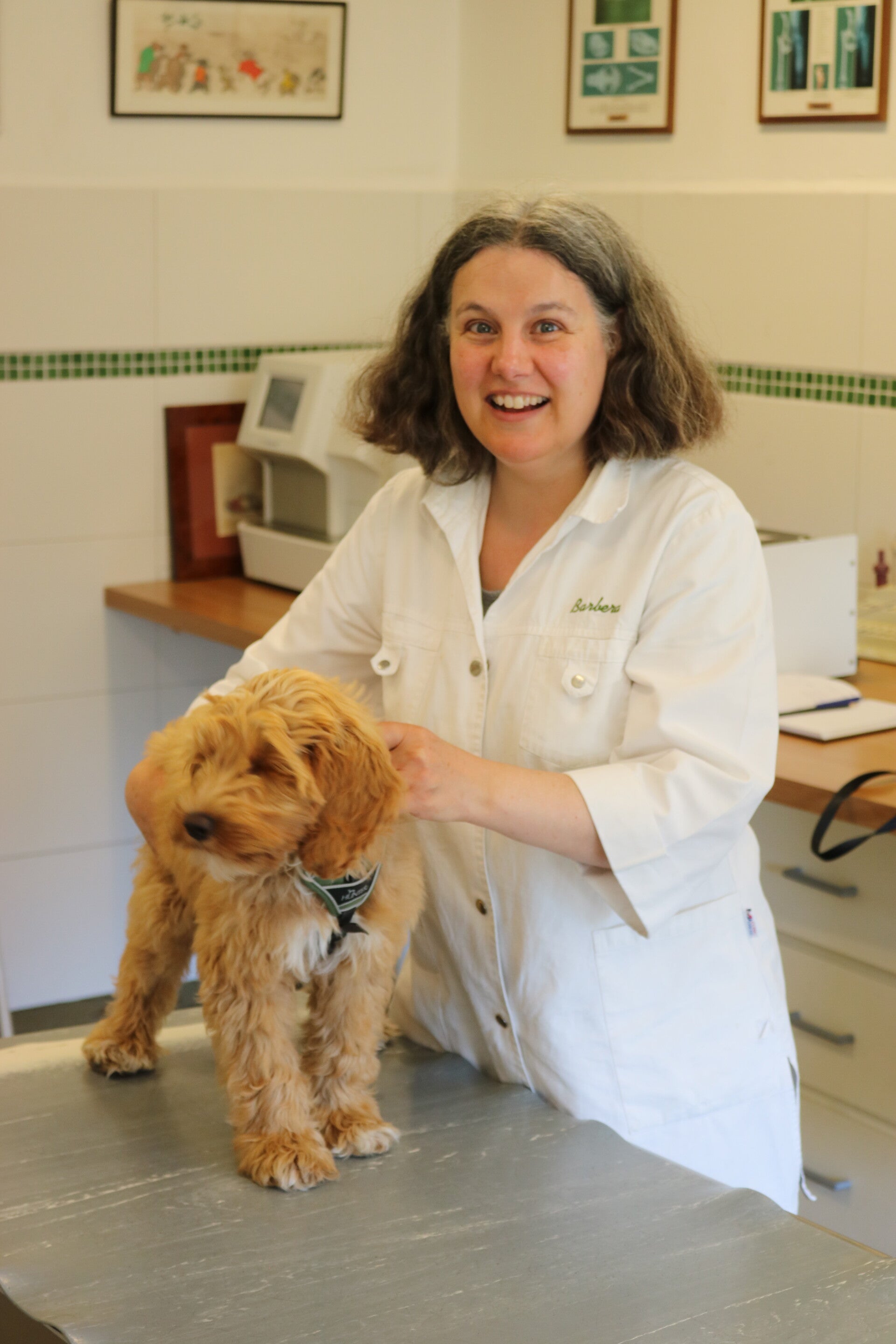 Barbara van Soest in de praktijk met een hond patient