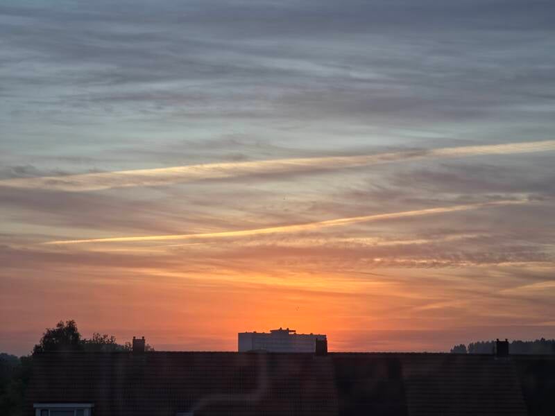 20260523_213731-standard.jpg