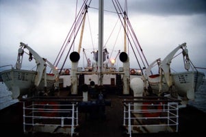 aaant5-standard.jpg