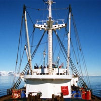 ant17-standard.jpg