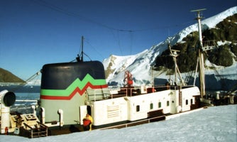 ant33-standard.jpg
