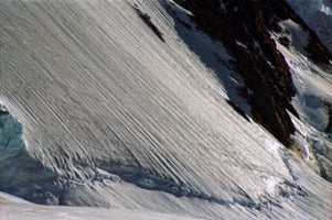 ant36-standard.jpg