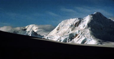 ant53-standard.jpg