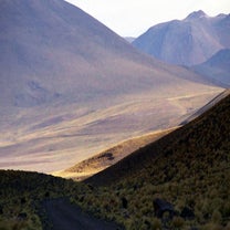 chile082-standard.jpg