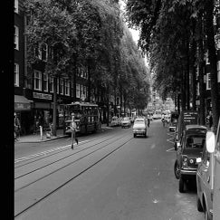 img339-standard.jpg