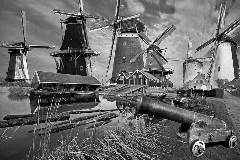 molen-standard.jpg
